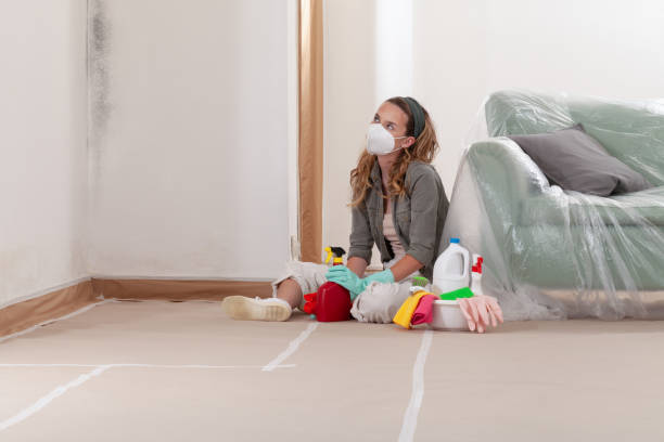 Reliable Mold Removal contractor in Mill Creek, WA by WQB Mold Removal